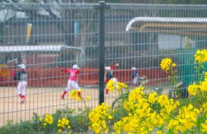 野球肘・野球肩、「少し休めば治る」？？？